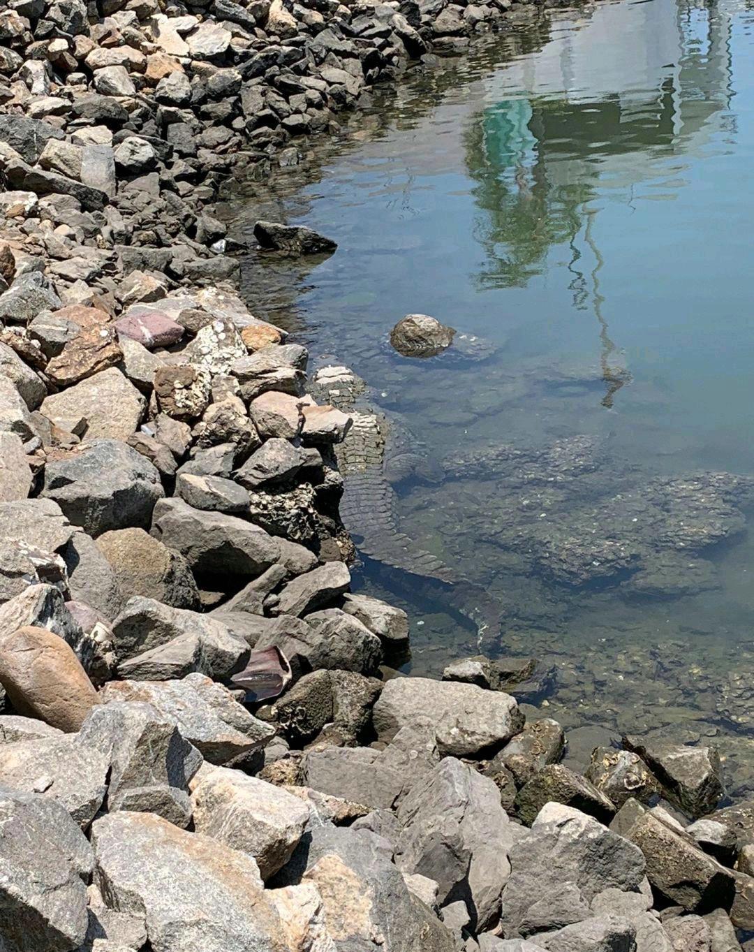 探索水族生态系统的关键要素及其重要性