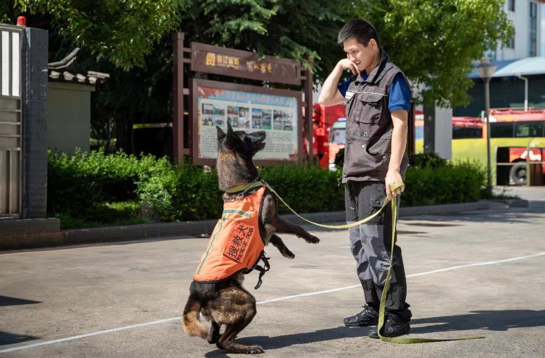 在昆明想养猫去哪里领养靠谱？