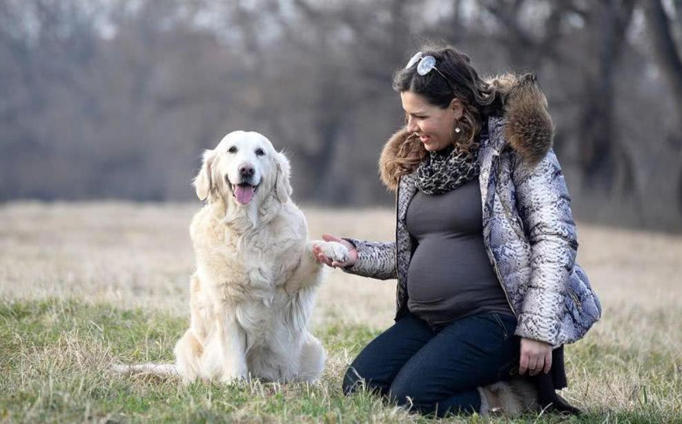 被接种过疫苗的猫抓伤到底要不要打狂犬疫苗？