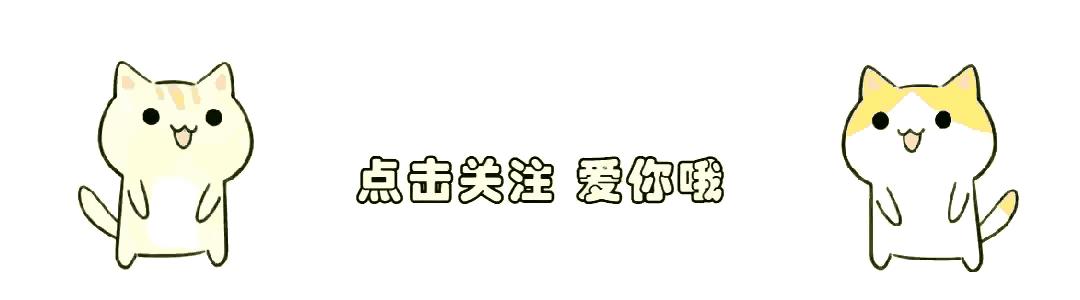 2024年你的生肖运势真的会触底反弹吗？