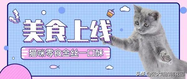 猫咪零食怎么选才能让主子吃开心又健康？🐱