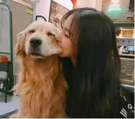 被猫咪抓伤到底要不要打狂犬疫苗？