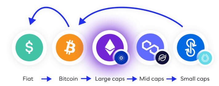 比特币四年周期全解析：山寨币投资的实用指南