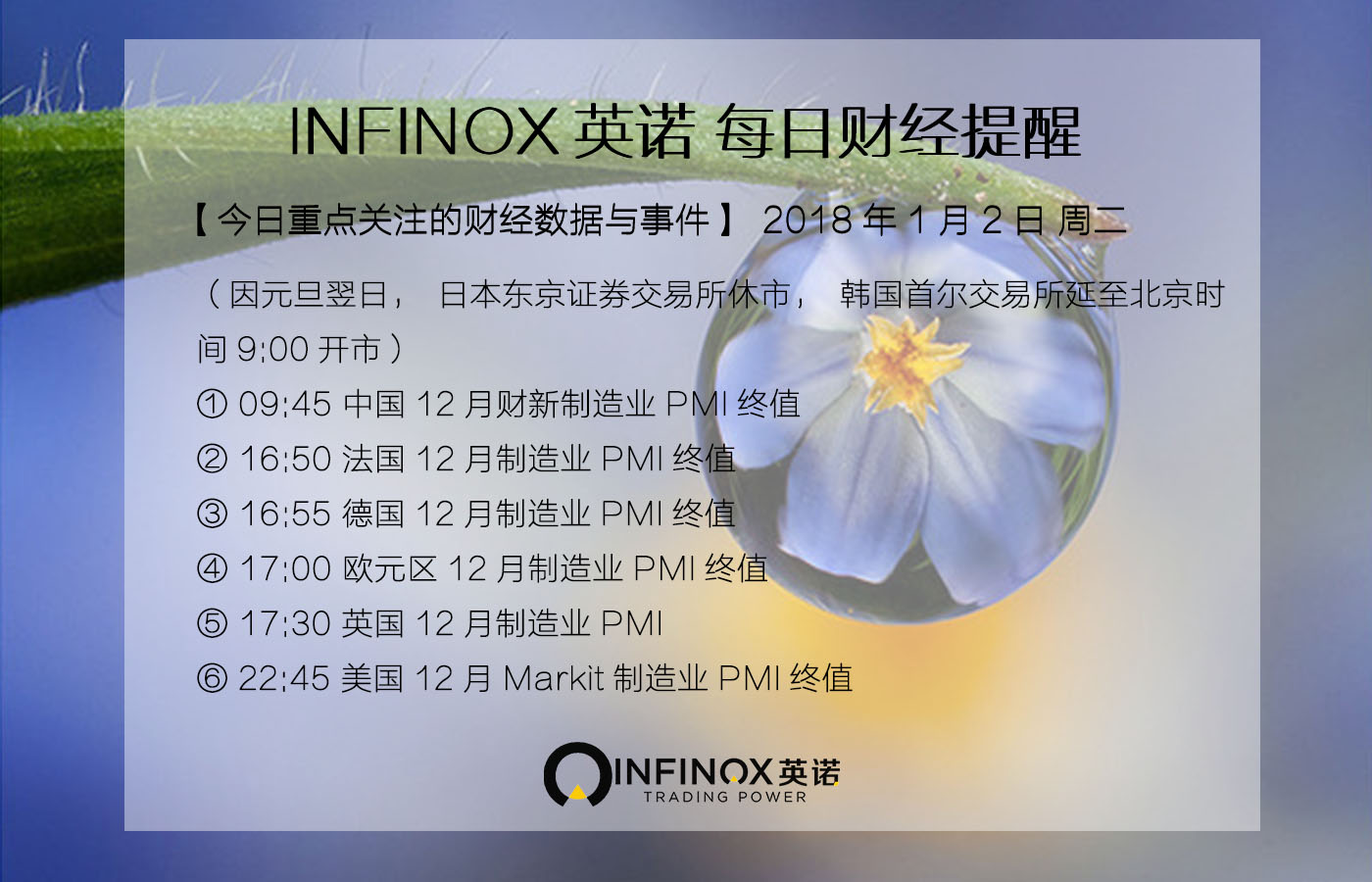 Infinox外汇是否合法？深度解读Infinox英诺平台