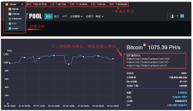 比特币视频到底怎么入门？新手必看的5大技巧