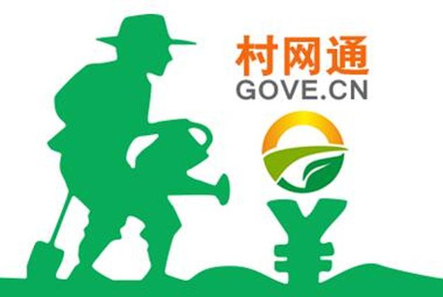 村网通GOVE.CN上线：致力于为各个农村打造门户网站