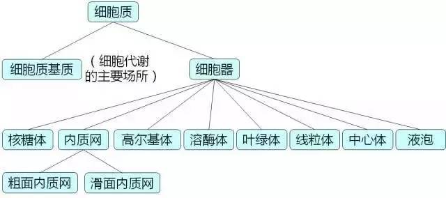 复习资料整理：超全面的高中生物知识点总结