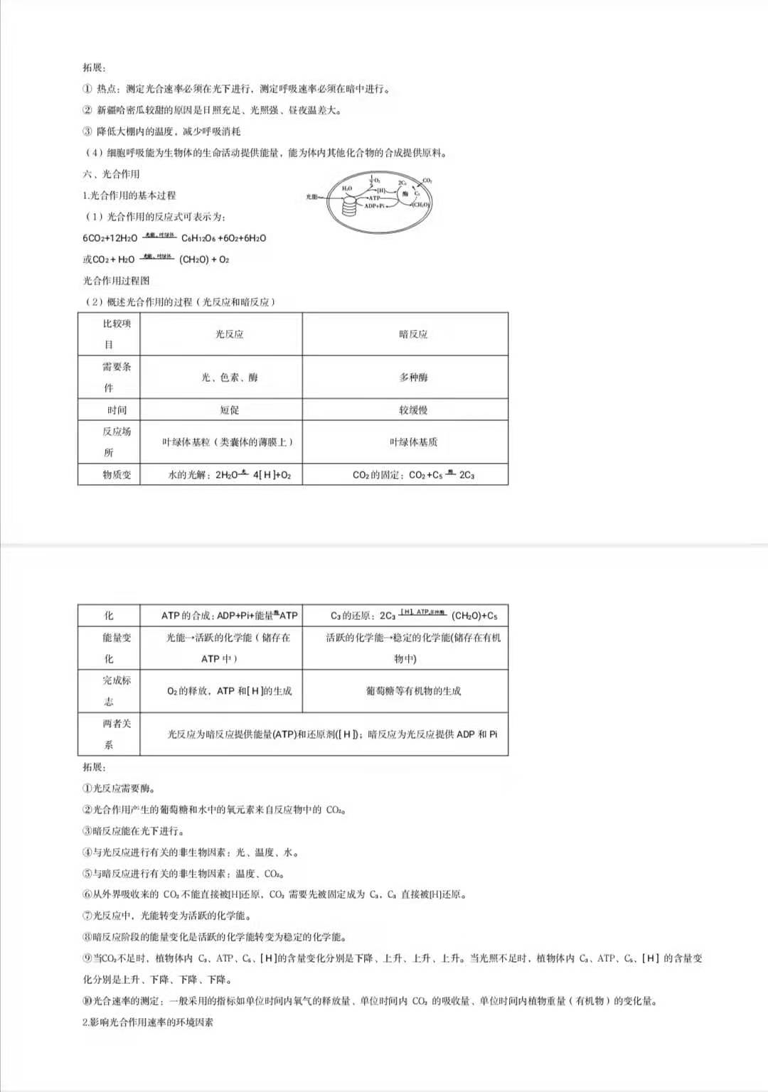 复习资料整理：超全面的高中生物知识点总结