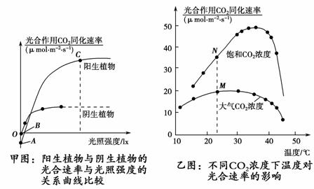 史上最全的光合作用速率因素曲线归类，你知道多少？