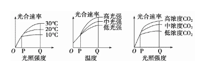 史上最全的光合作用速率因素曲线归类，你知道多少？