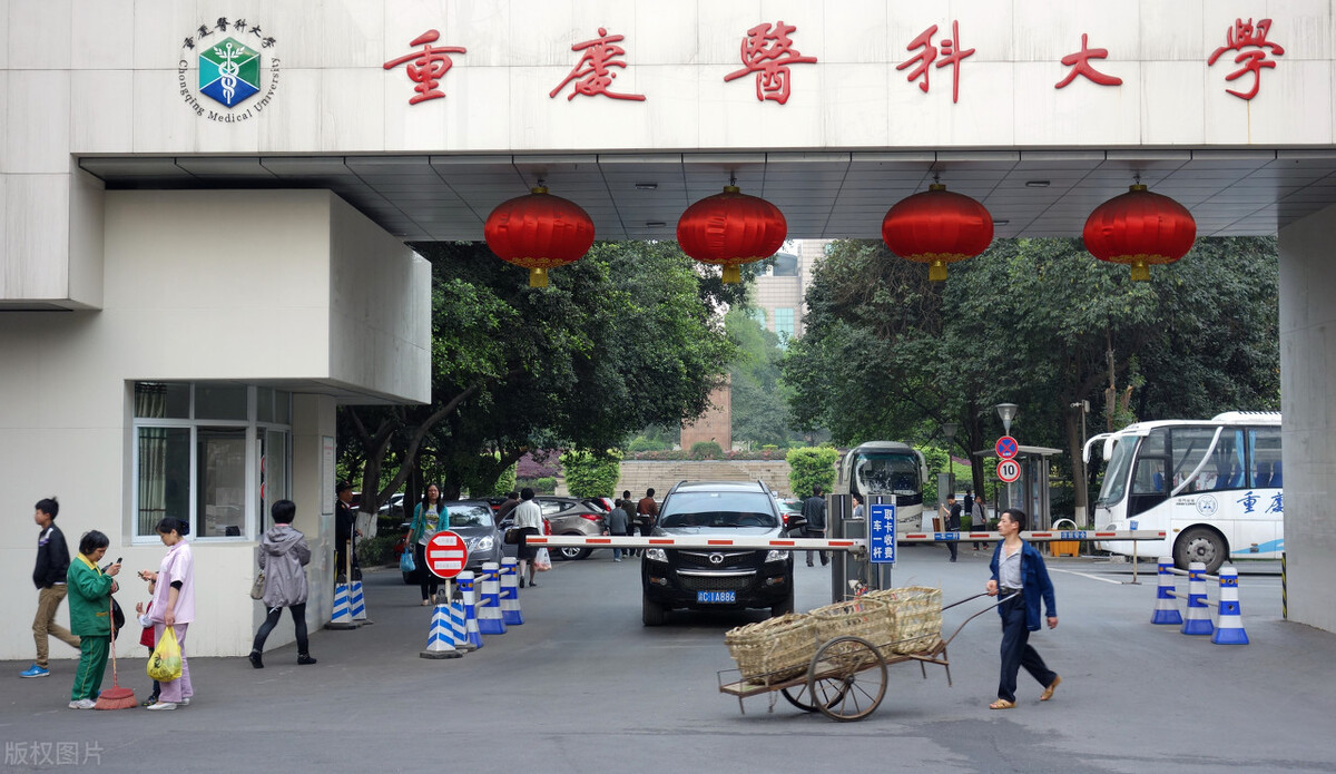 重庆医科大学录取分数线到底有多高？