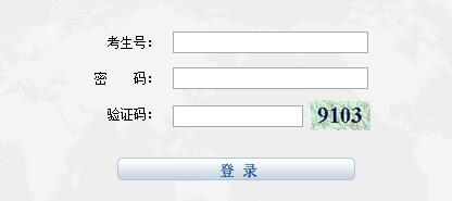 宁夏教育考试院登录系统到底藏着多少门道？