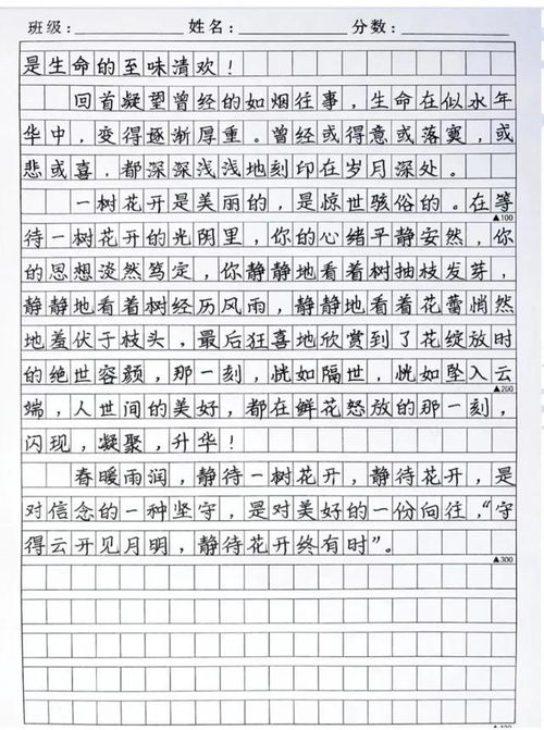 中考作文怎么才能拿高分？