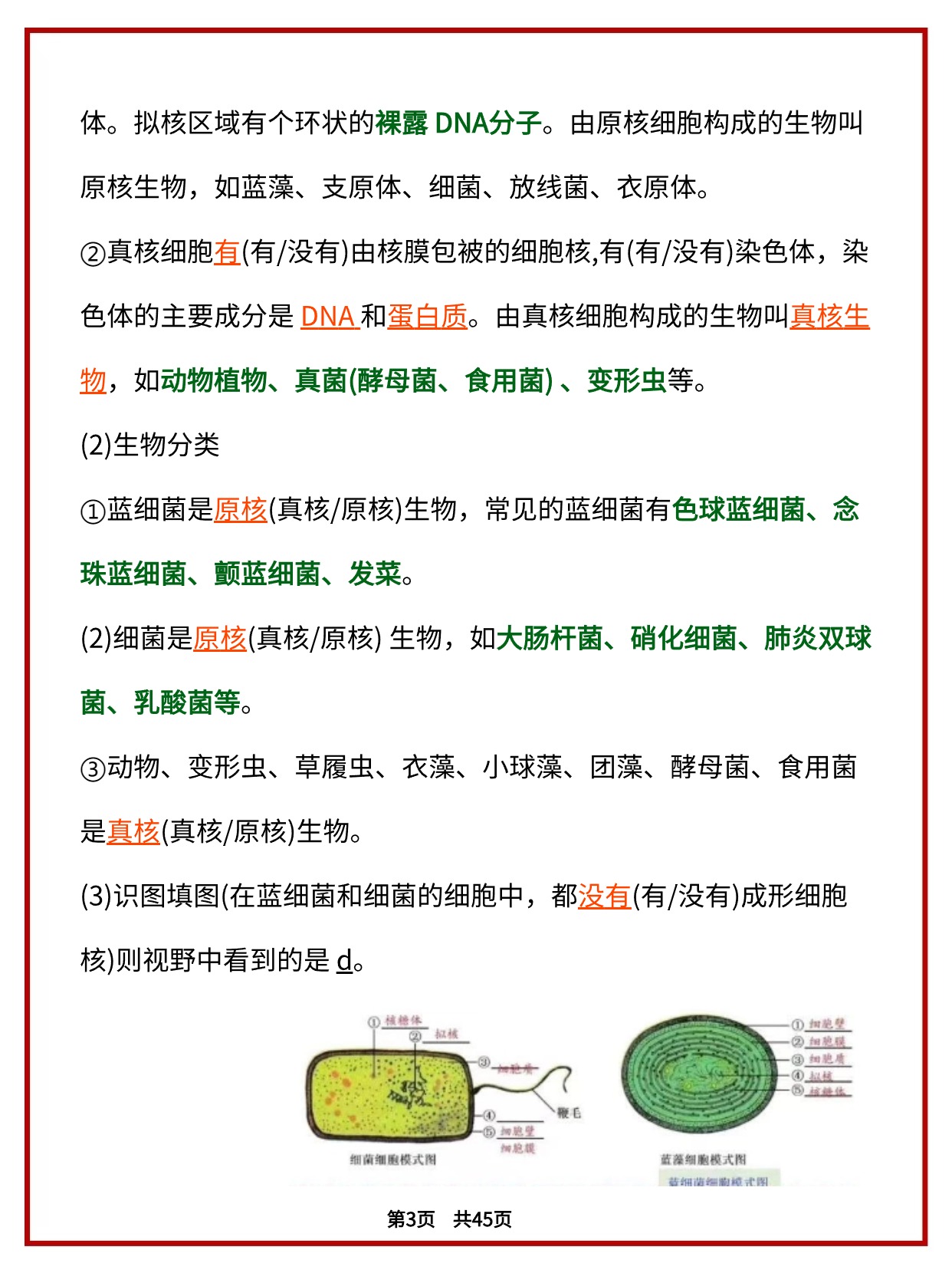 高中生物课件：零基础也能搞懂知识点的实用攻略