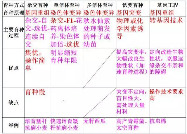 高中生物课件：零基础也能搞懂知识点的实用攻略