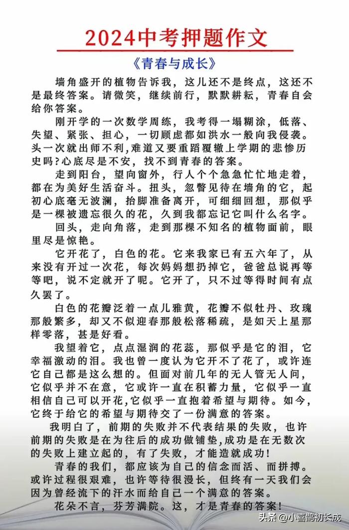 2024年作文提分新思路,初中生家长必读的满分作文网使用指南