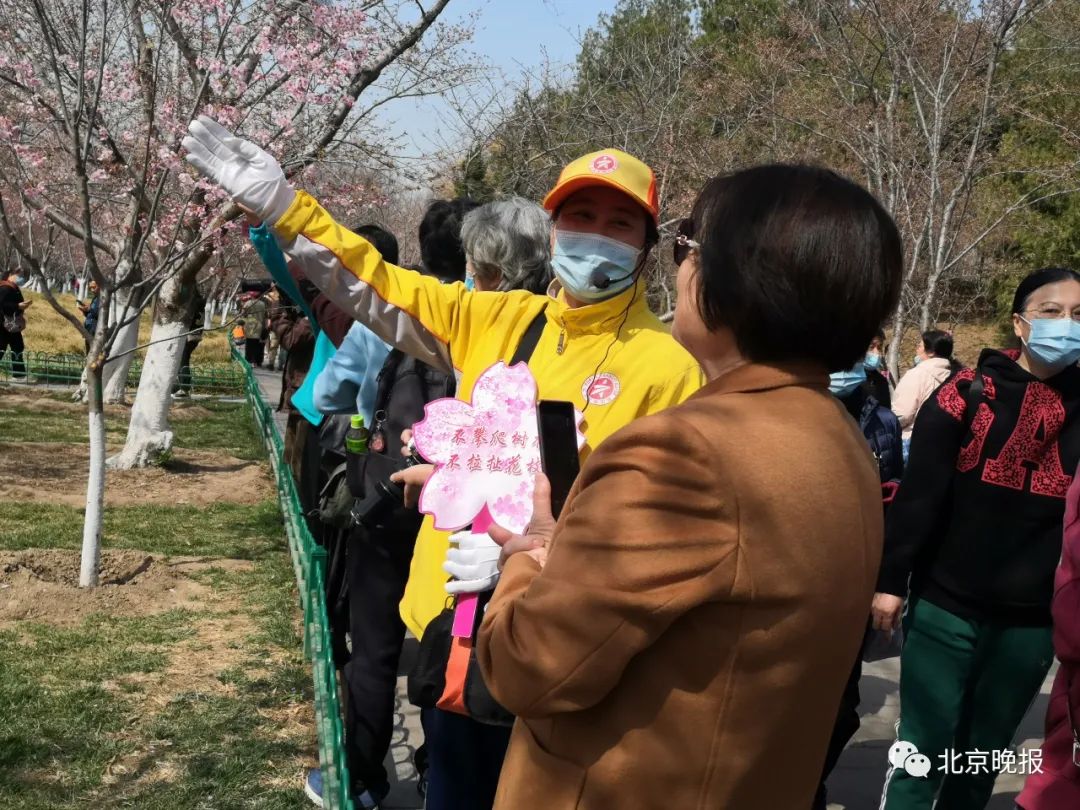 3月19日北京：天气回暖背后的秘密，文化活动的隐藏彩蛋