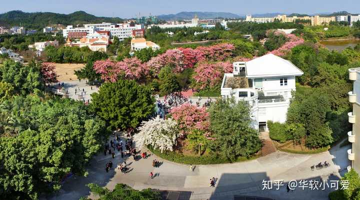 广州华软是什么学校,它的专业特色是什么,毕业生就业率如何