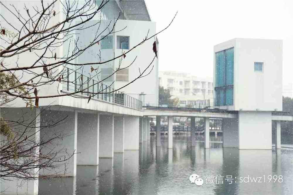 苏州大学文正学院图书馆攻略：新手必看的8个隐藏功能