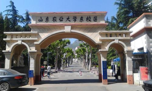 山东农业大学2021录取分数线全解析：新手必看的报考避坑指南