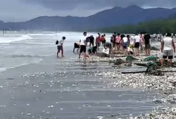 台风过后广东海滩真的能捡到免费海鲜吗？