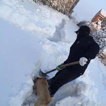 东北暴雪到底有多恐怖？记者亲身经历给你答案  第3张