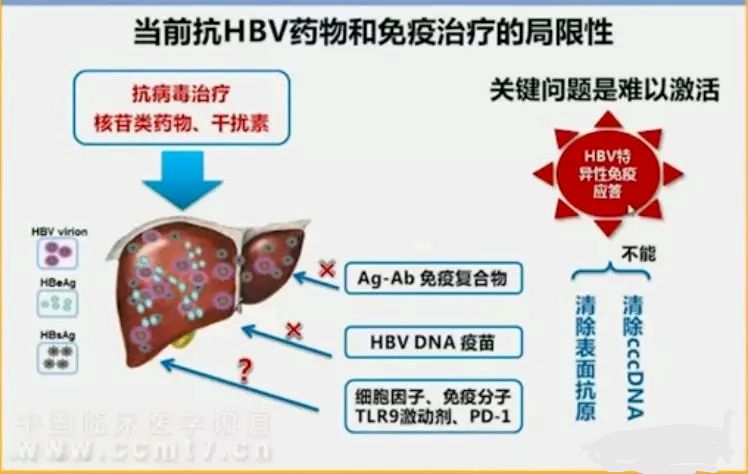 乙肝真的能被彻底治愈了吗？  第3张