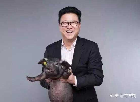 在网易上班真的天天养猪吗？  第2张