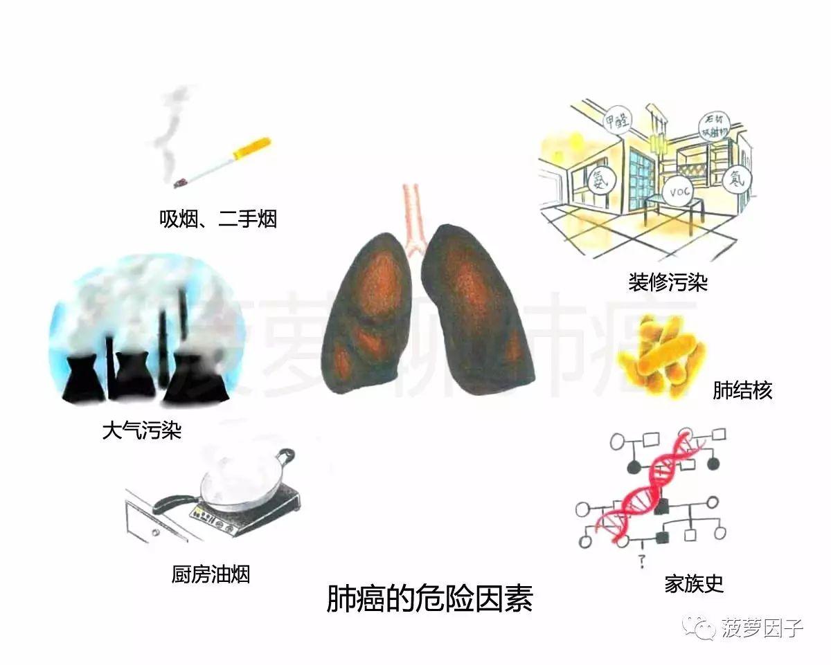 每天被动吸二手烟真的会得肺癌吗？  第2张