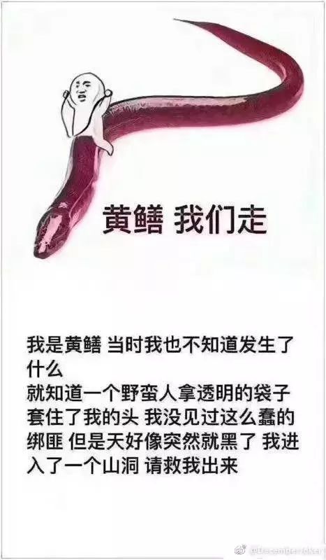 女主播们除黄鳝塞下体外，竟还做过这些事  第14张