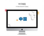 中文域名