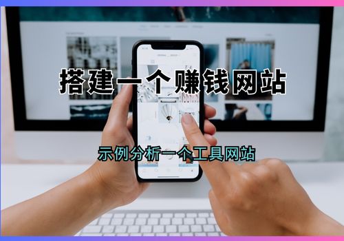 分析一个赚钱的网站项目