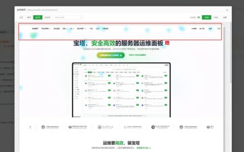 网站有流量却没转化？宝塔网站统计帮你找到问题