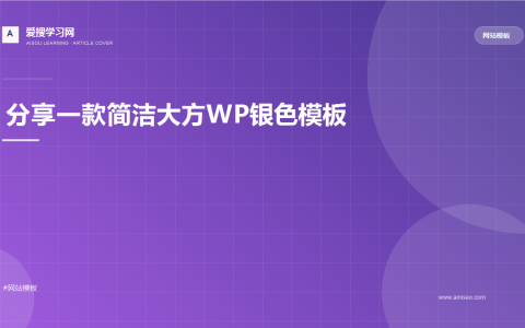 分享一款简洁大方WP银色模板
