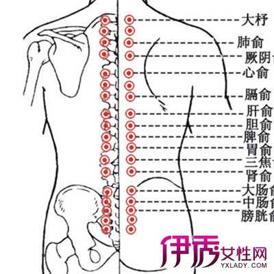 学习后背穴位图解：十一个后背穴位位置与作用大讲解【附图】