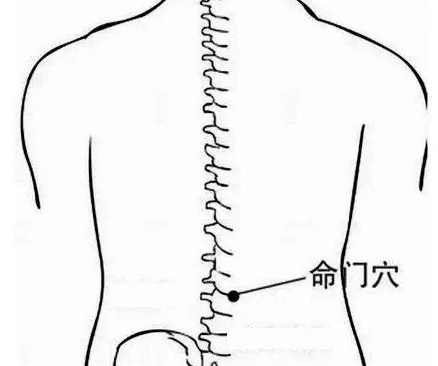 宫寒不孕中药调理处方_治疗宫寒不孕不育的中药方子_【治疗宫寒不孕的小方法有哪些?】