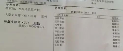 真菌性泌尿道感染且支原体阳性应如何进行治疗