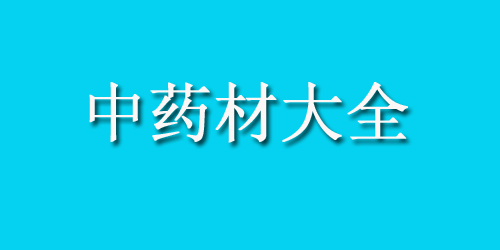 中药材大全之鱼漂：全面认识其功效与作用