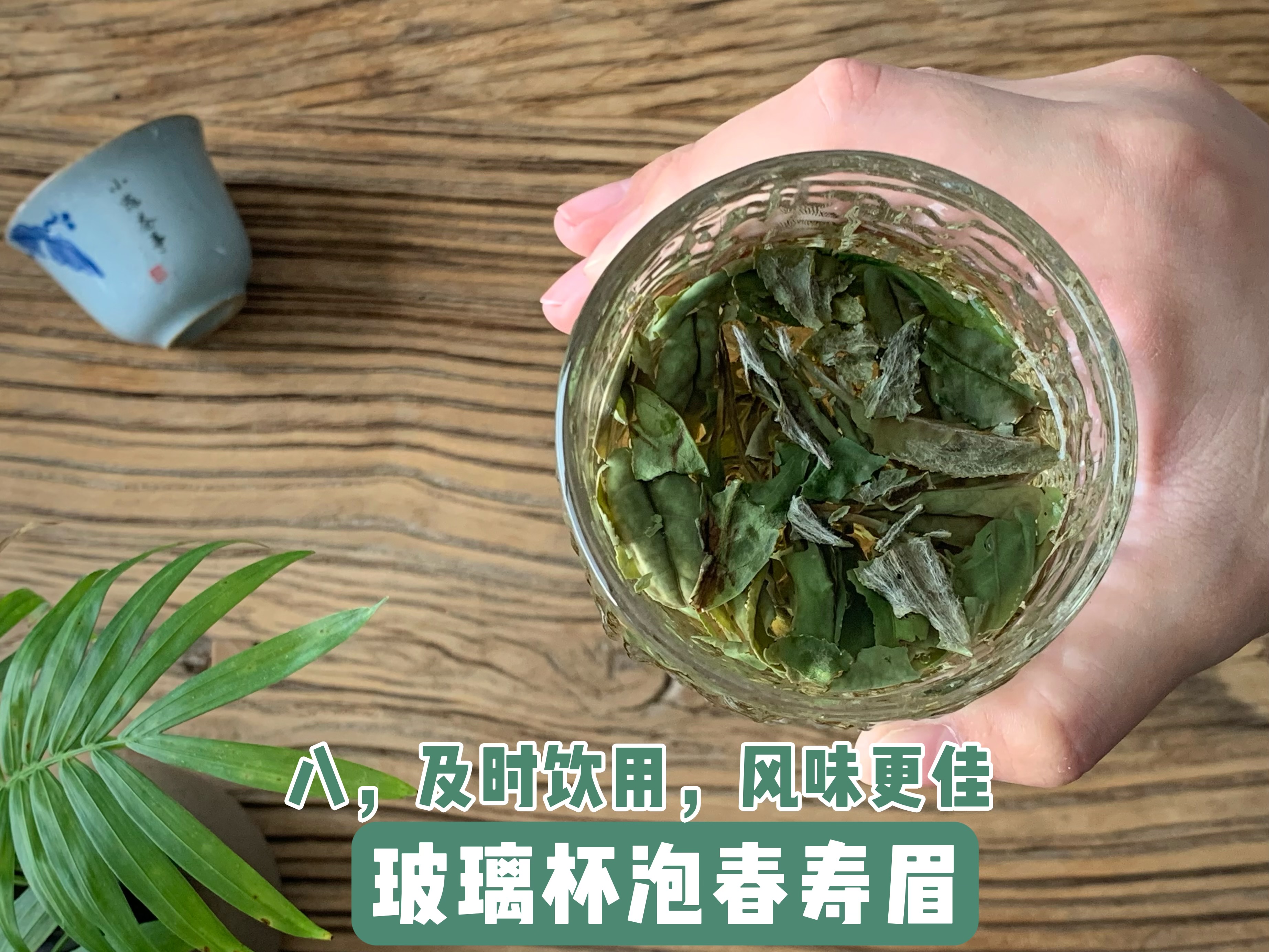 泡茶用玻璃杯_杯泡茶玻璃好还是水好_玻璃杯泡茶好吗?