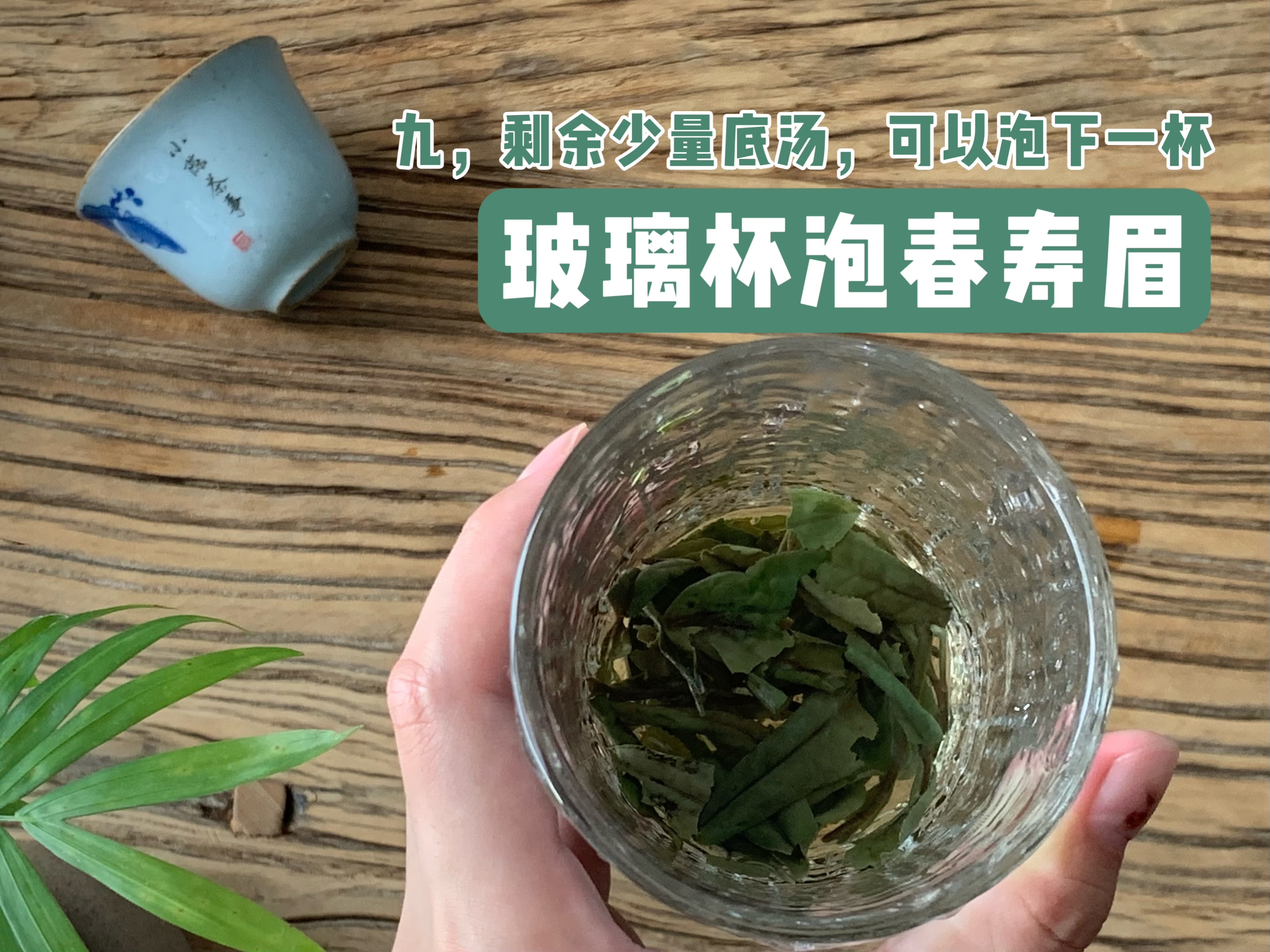 泡茶用玻璃杯_杯泡茶玻璃好还是水好_玻璃杯泡茶好吗?